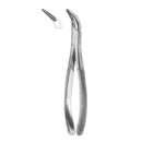Davier Witzel racine inférieure - Safe Implant