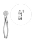 Davier enfant molaires supérieures - Safe Implant
