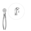 Davier enfant molaires inférieures - Safe Implant