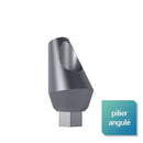 Piliers angulés 25° - Safe Implant