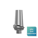 Piliers anatomiques larges - Safe Implant