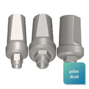 Piliers droits compatibles avec la marque Zimmer Biomet™ modèle  3i Certain™ Ø 3.4, 4.1 et 5 mm - Safe Implant